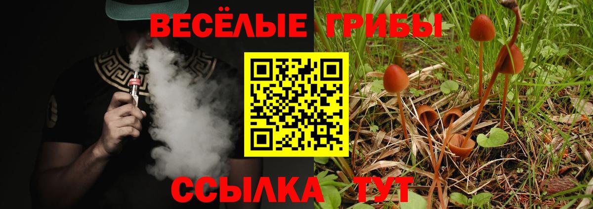 Трёхгорный  Псилоцибиновые грибы Psilocybe  Псилоцибиновые грибы MAGIC MUSHROOMS  Вход с VPN 